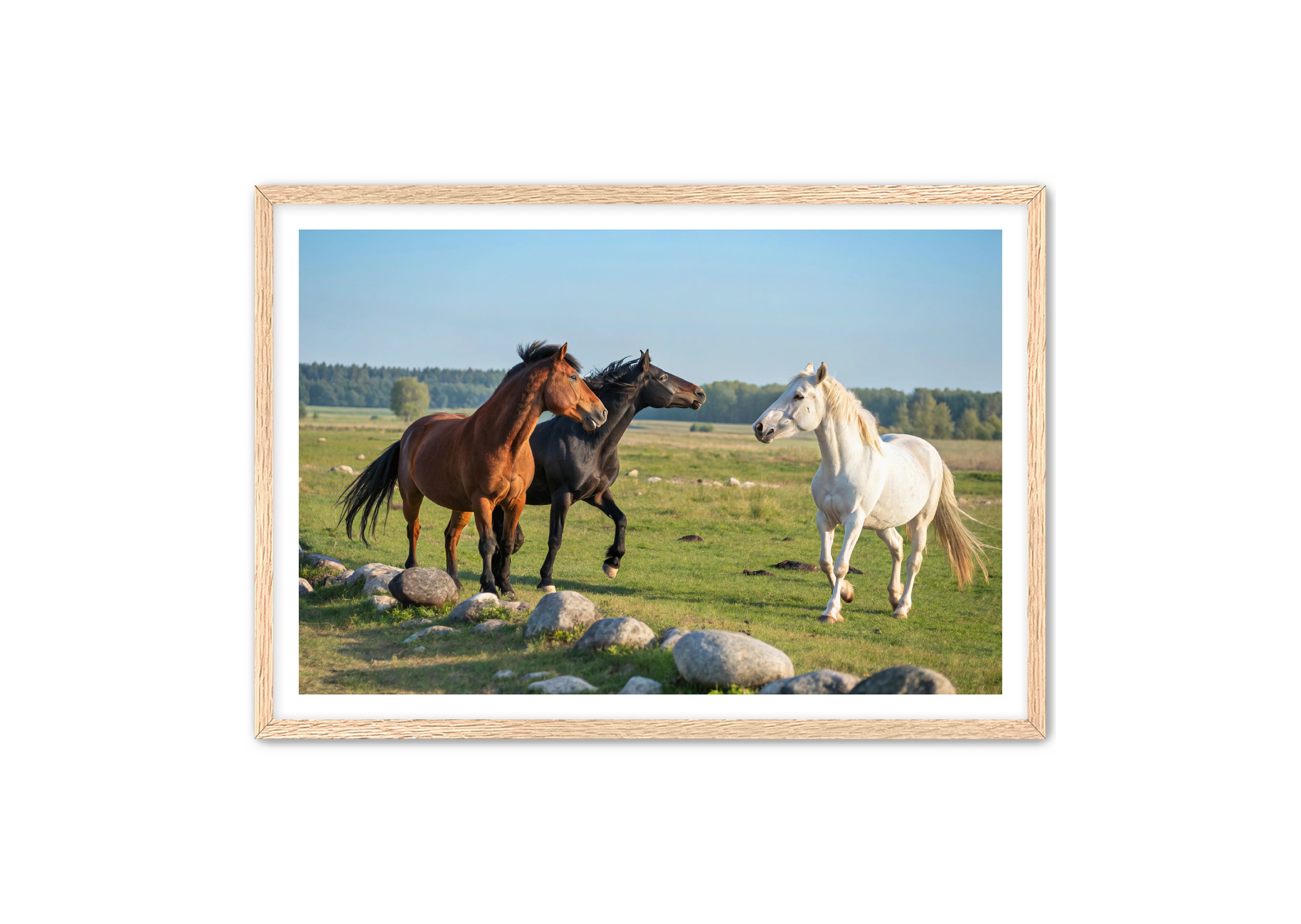 Apricus Prints Vaquero 'Trio of The Field' Apricus Art Collection