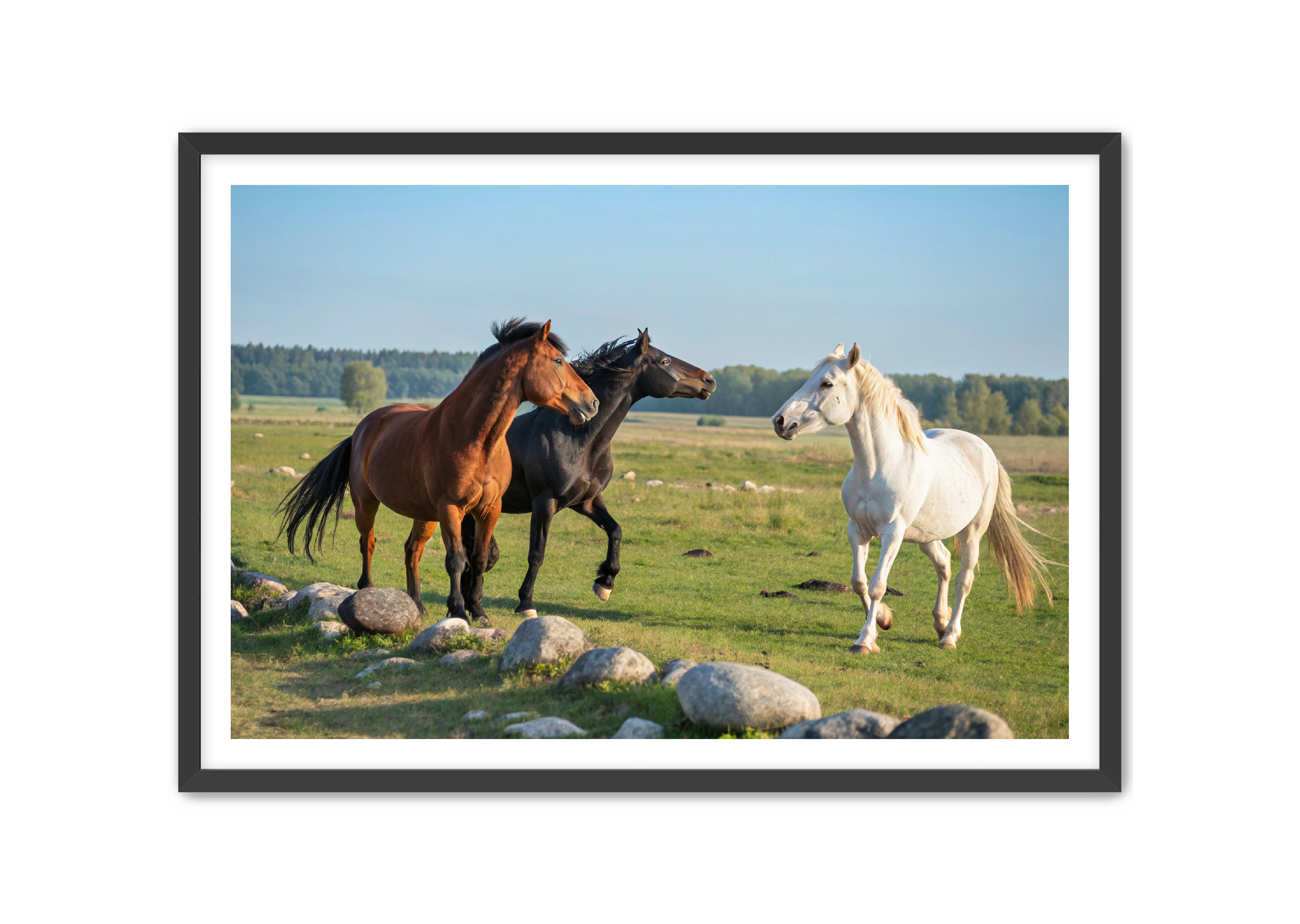 Apricus Prints Vaquero 'Trio of The Field' Apricus Art Collection