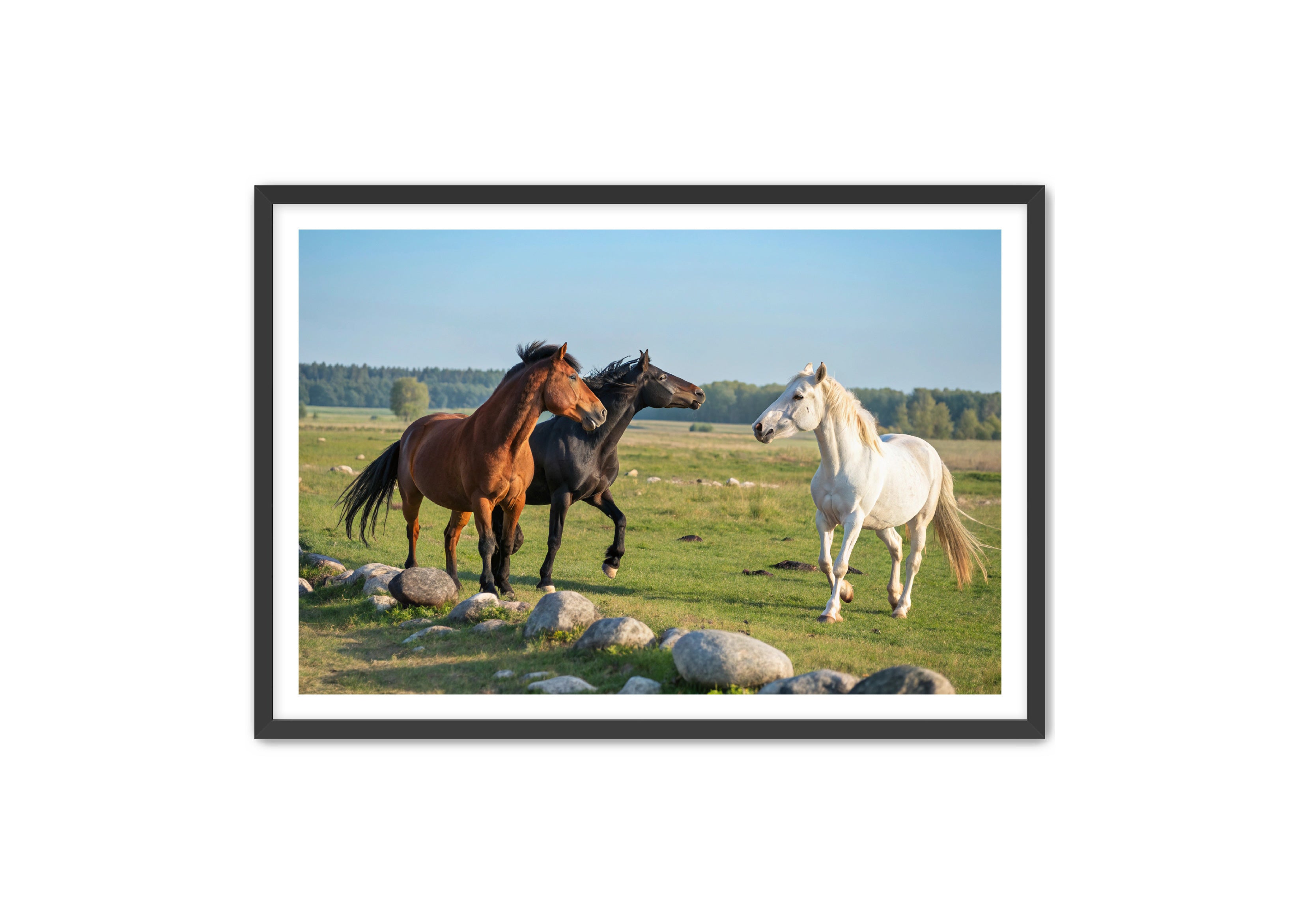 Apricus Prints Vaquero 'Trio of The Field' Apricus Art Collection