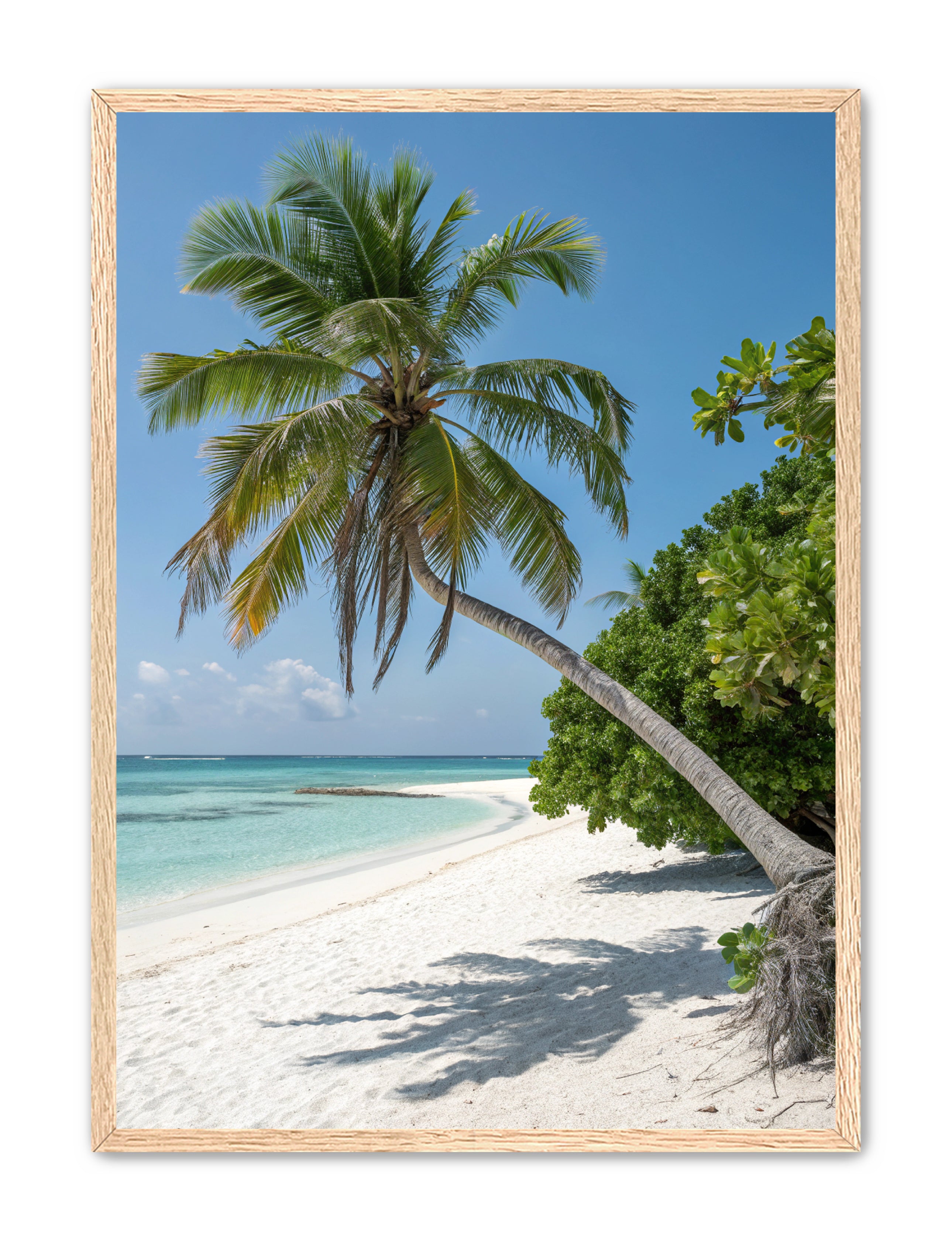 Apricus Prints Beaches 'Tropical Sentinel' Apricus Art Collection