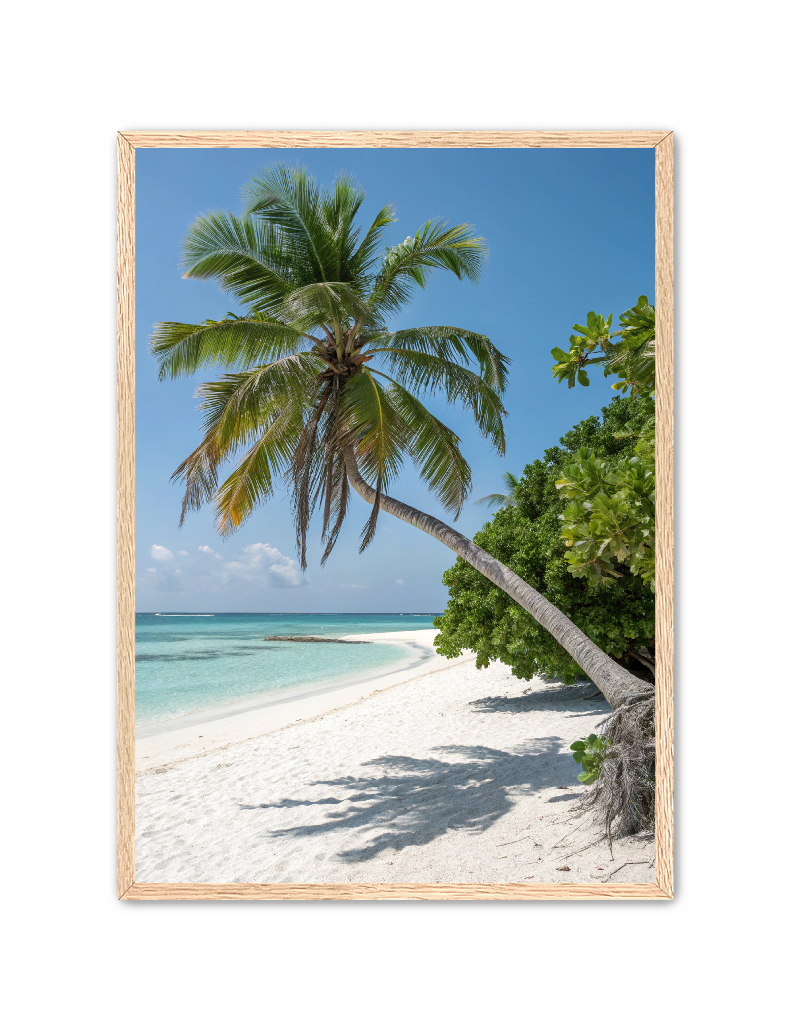 Apricus Prints Beaches 'Tropical Sentinel' Apricus Art Collection