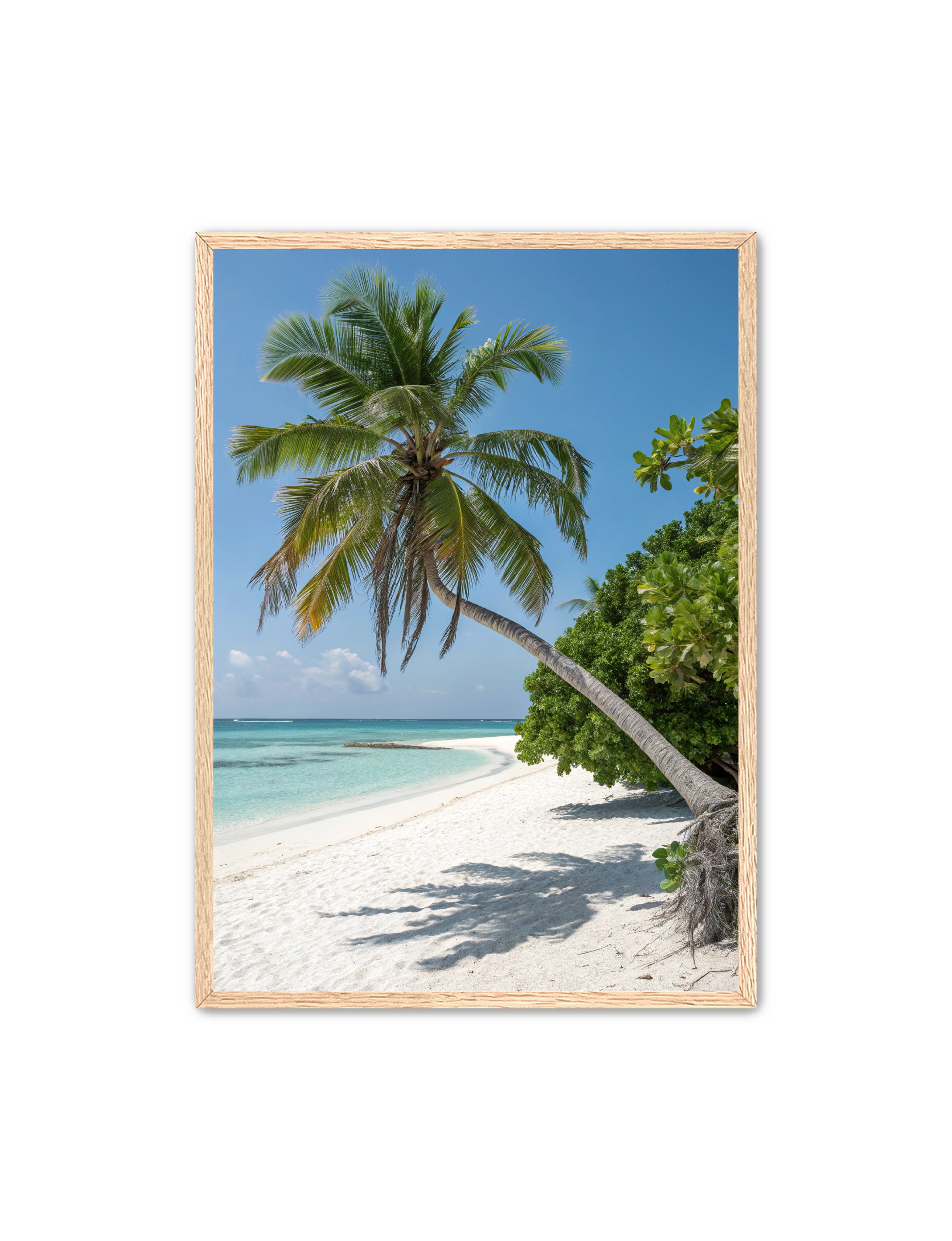 Apricus Prints Beaches 'Tropical Sentinel' Apricus Art Collection