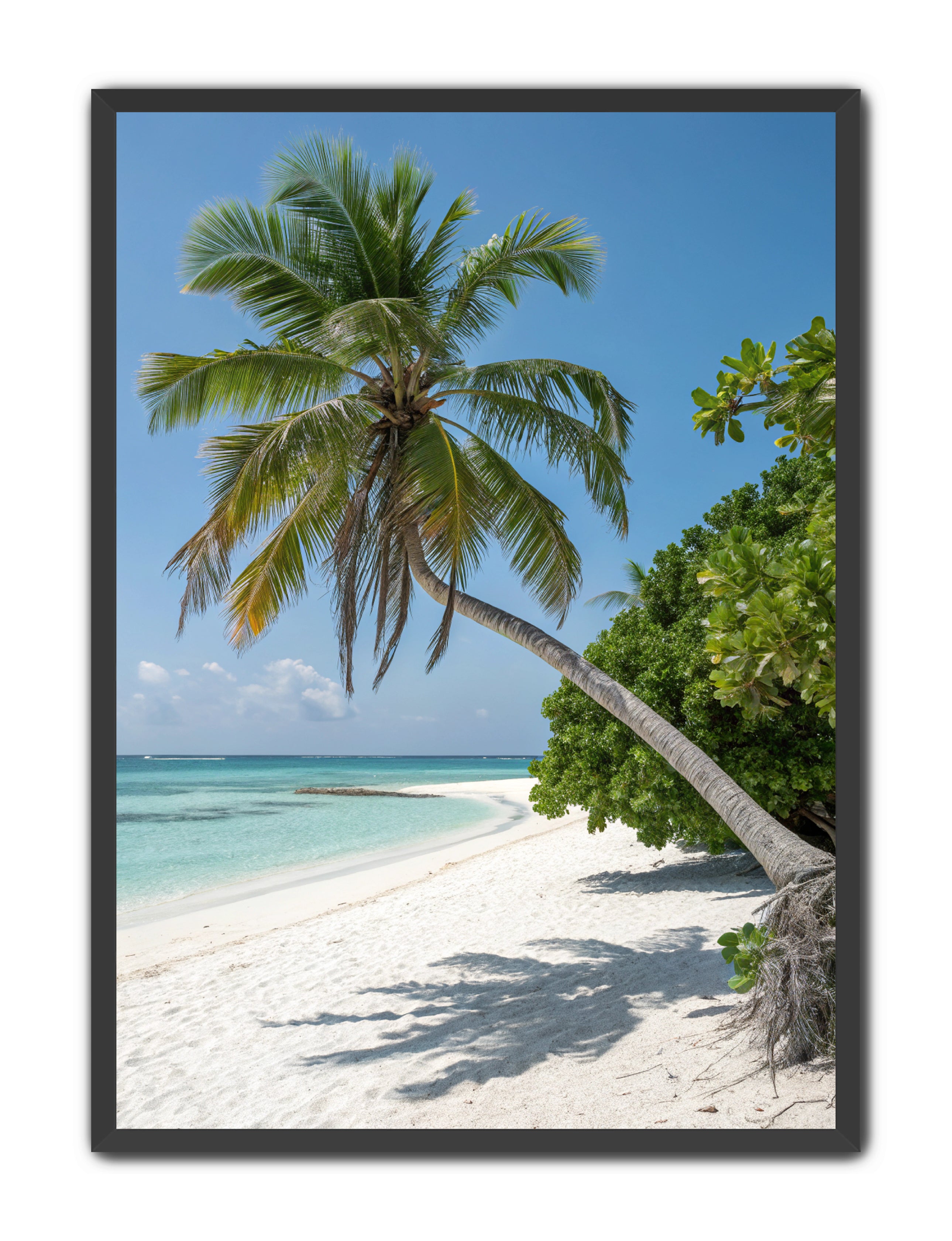 Apricus Prints Beaches 'Tropical Sentinel' Apricus Art Collection