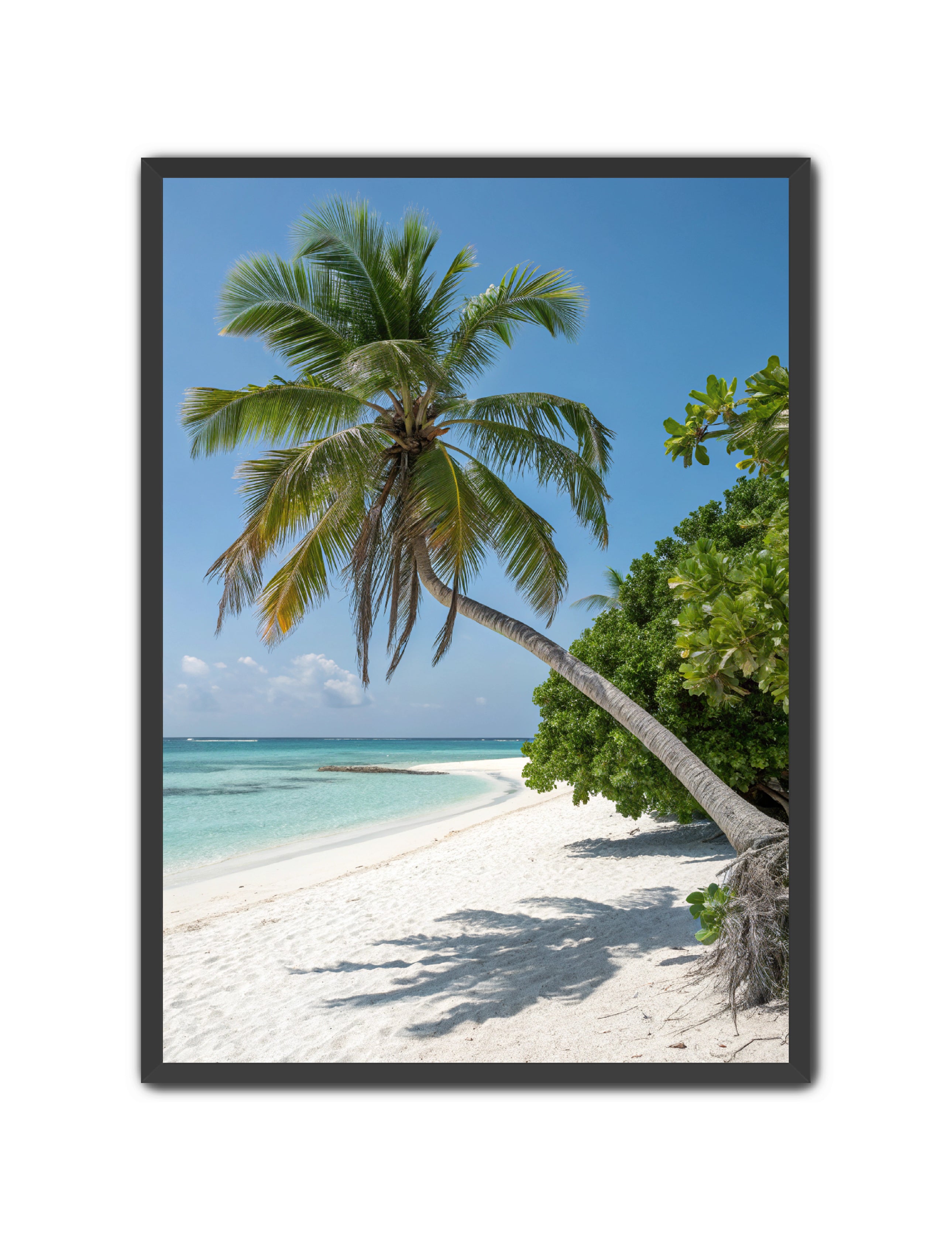 Apricus Prints Beaches 'Tropical Sentinel' Apricus Art Collection