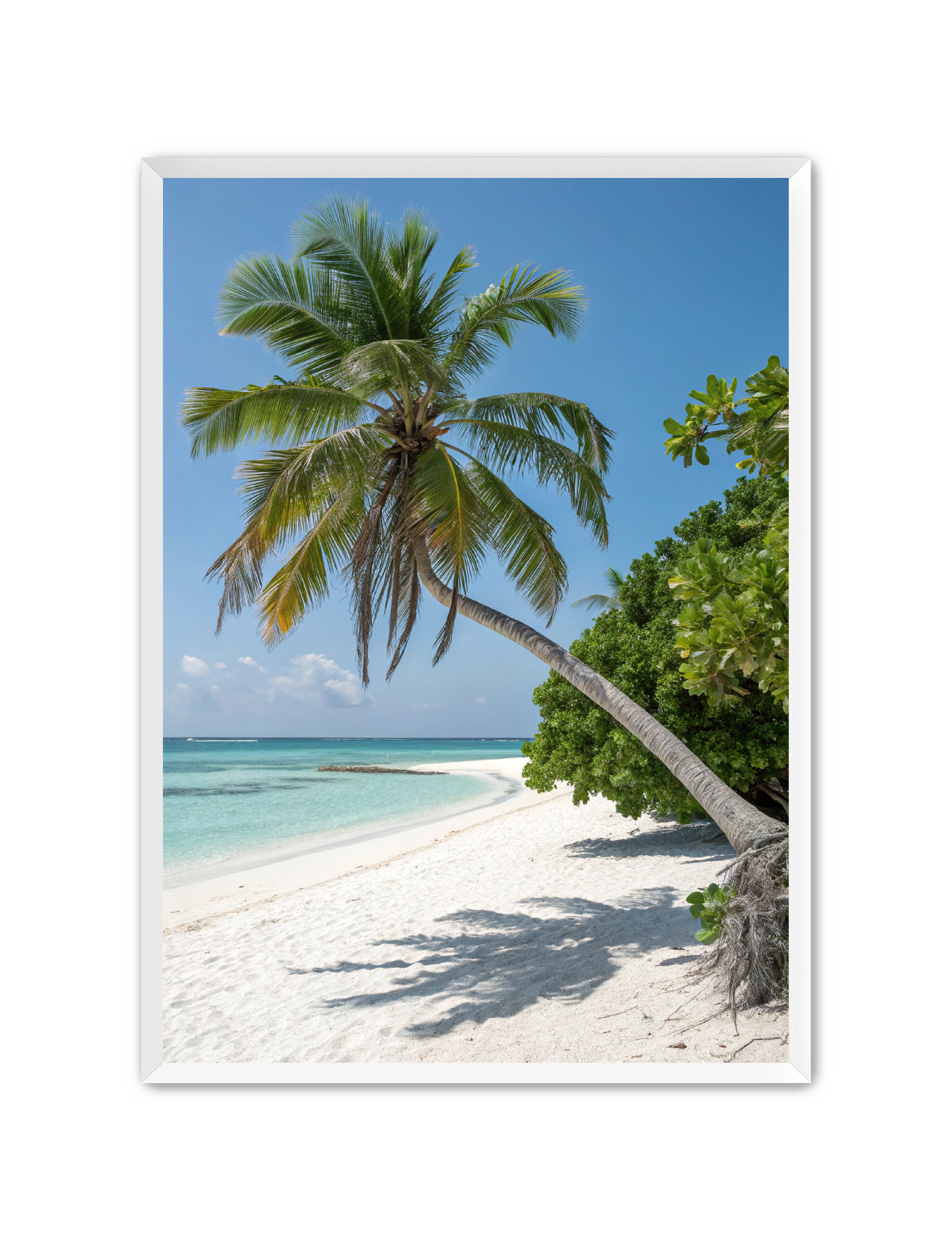 Apricus Prints Beaches 'Tropical Sentinel' Apricus Art Collection