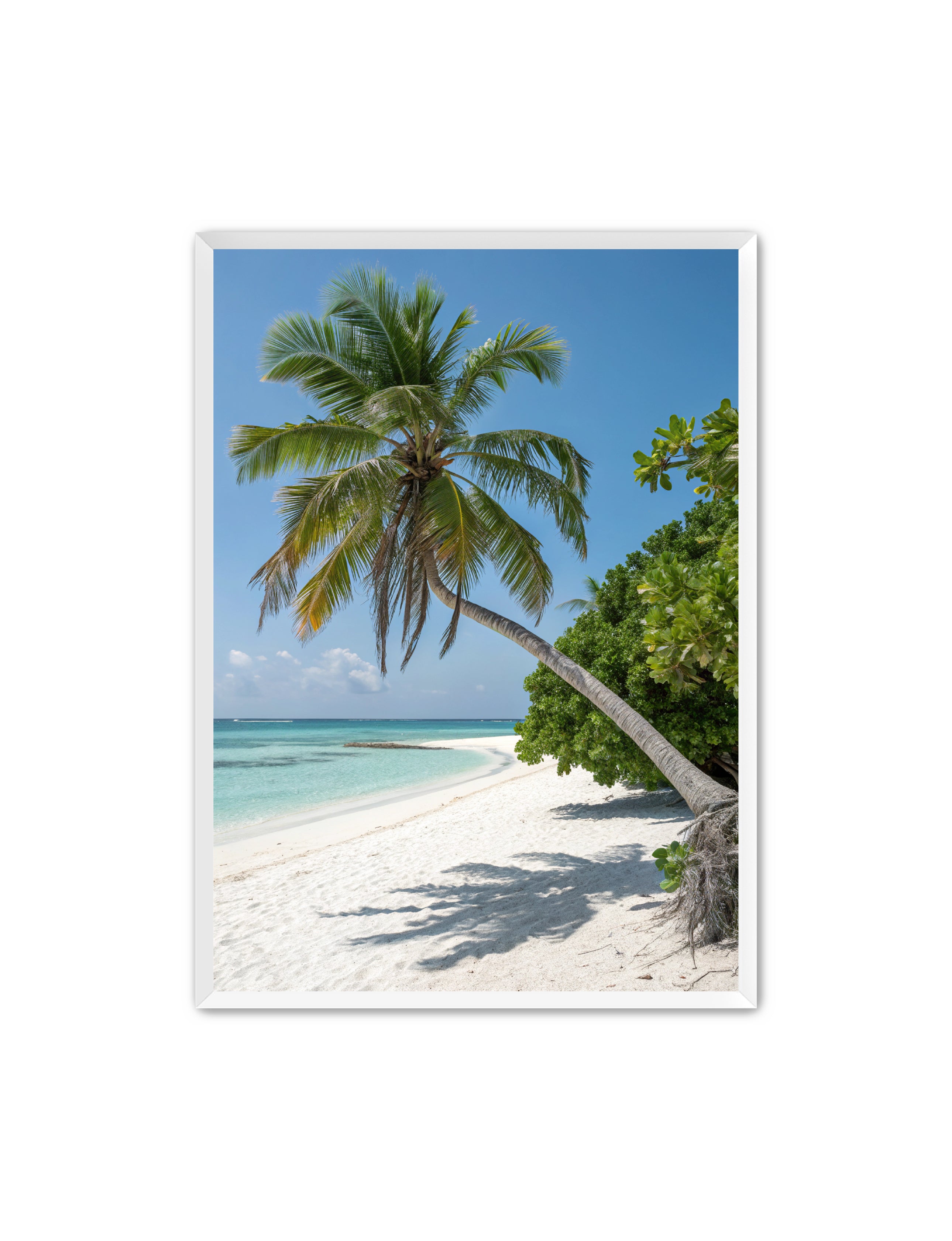 Apricus Prints Beaches 'Tropical Sentinel' Apricus Art Collection