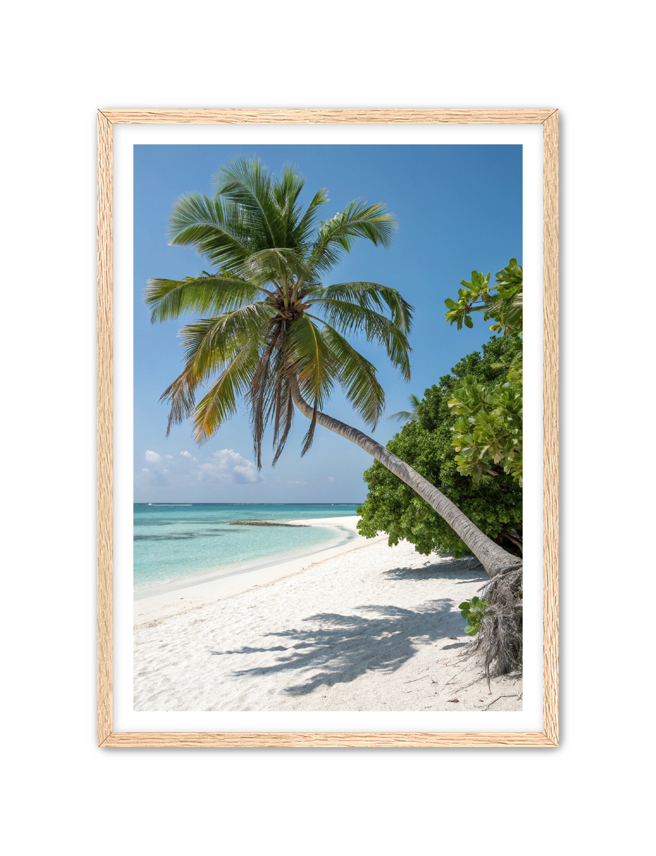 Apricus Prints Beaches 'Tropical Sentinel' Apricus Art Collection