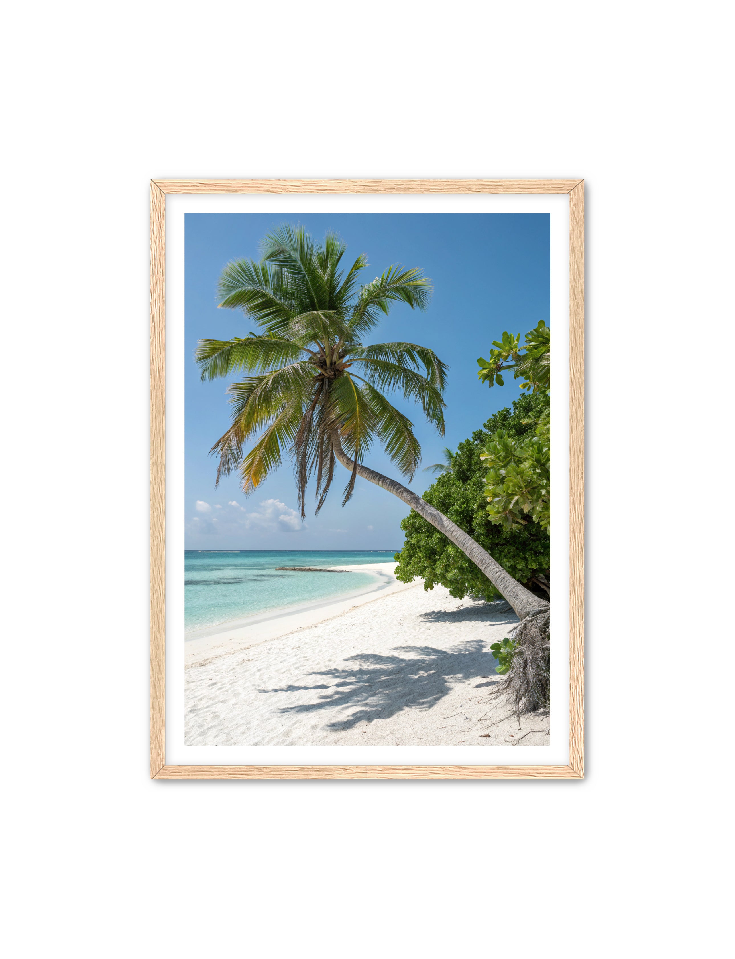 Apricus Prints Beaches 'Tropical Sentinel' Apricus Art Collection