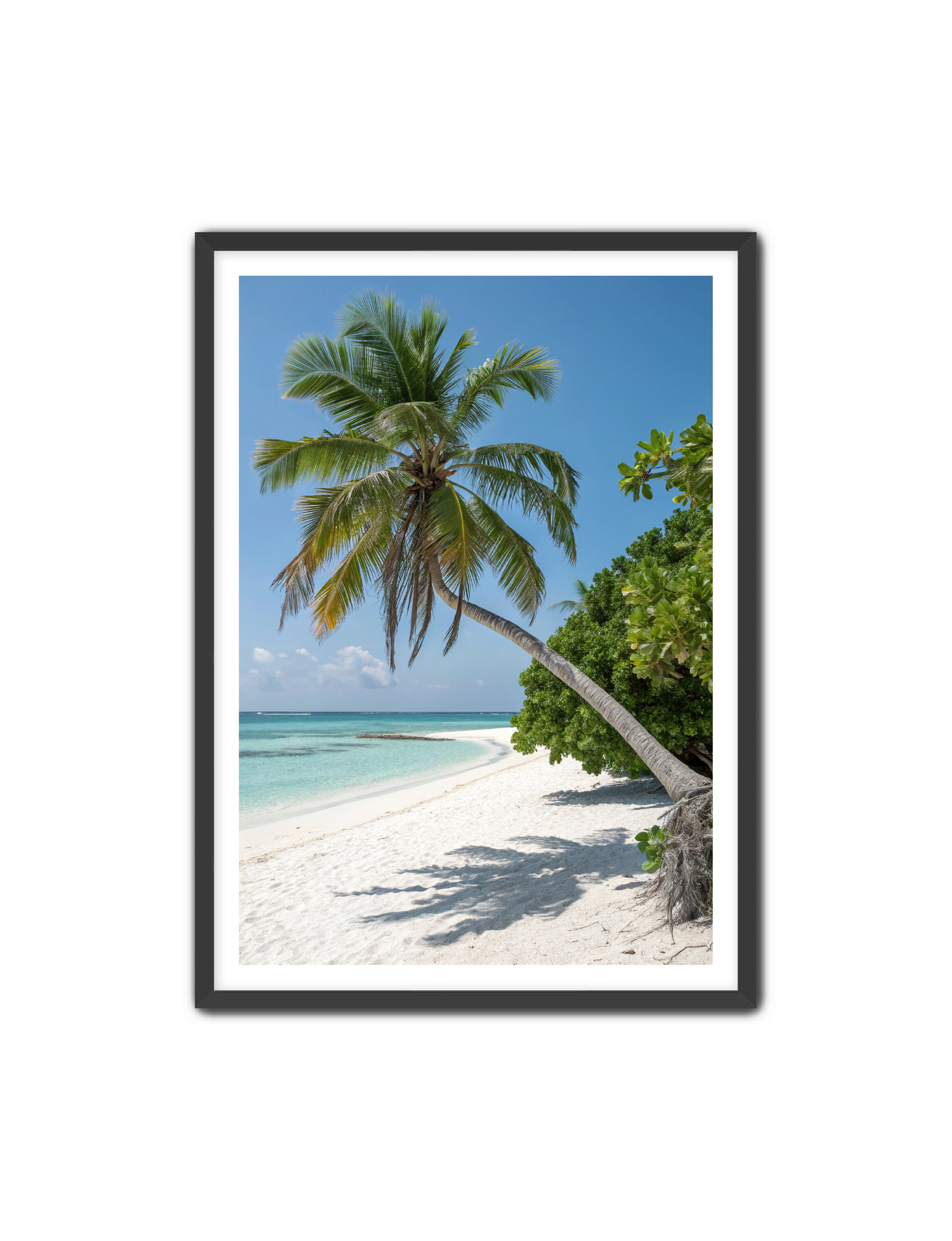 Apricus Prints Beaches 'Tropical Sentinel' Apricus Art Collection