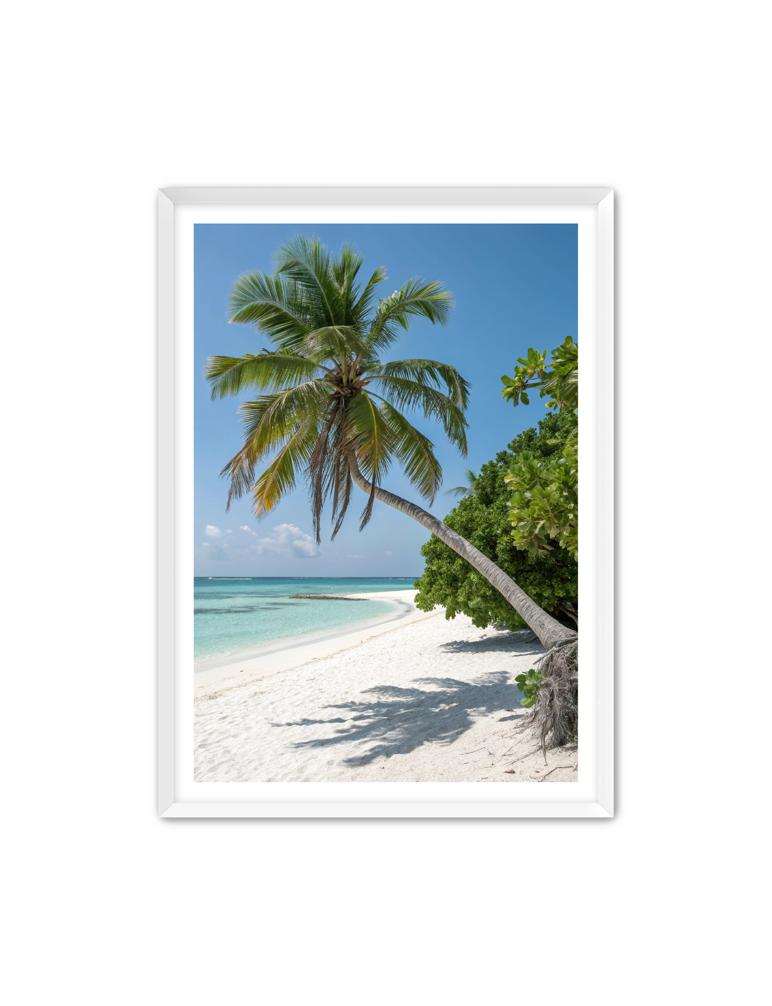 Apricus Prints Beaches 'Tropical Sentinel' Apricus Art Collection