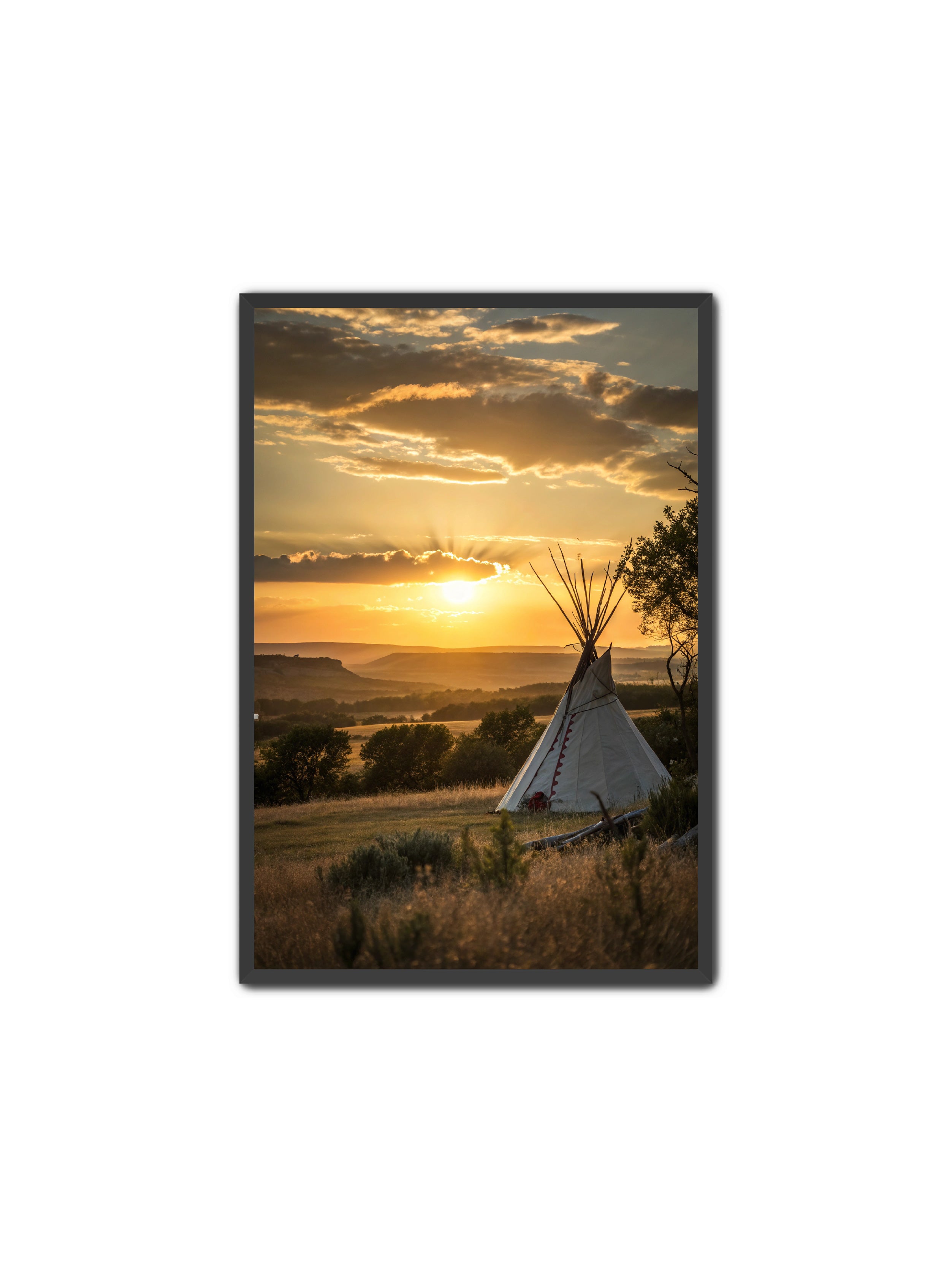 Apricus Prints Vaquero 'True Heart' Apricus Art Collection