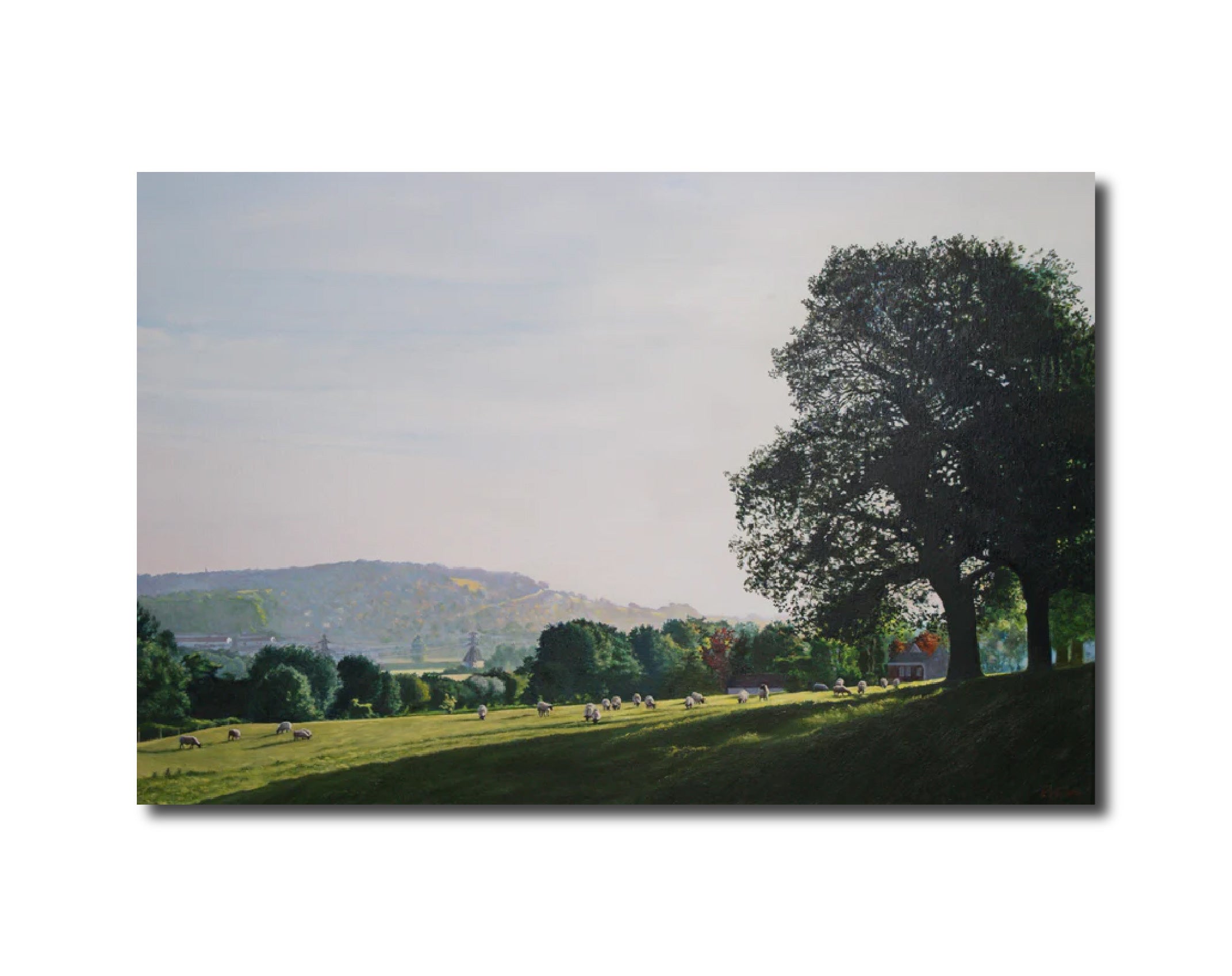 Landscape Rural scene 'ENGLISH MEADOW AT BATHAMPTON, EARLY MORNING WITH SHEEP' - Print Adams, Ronald Harry