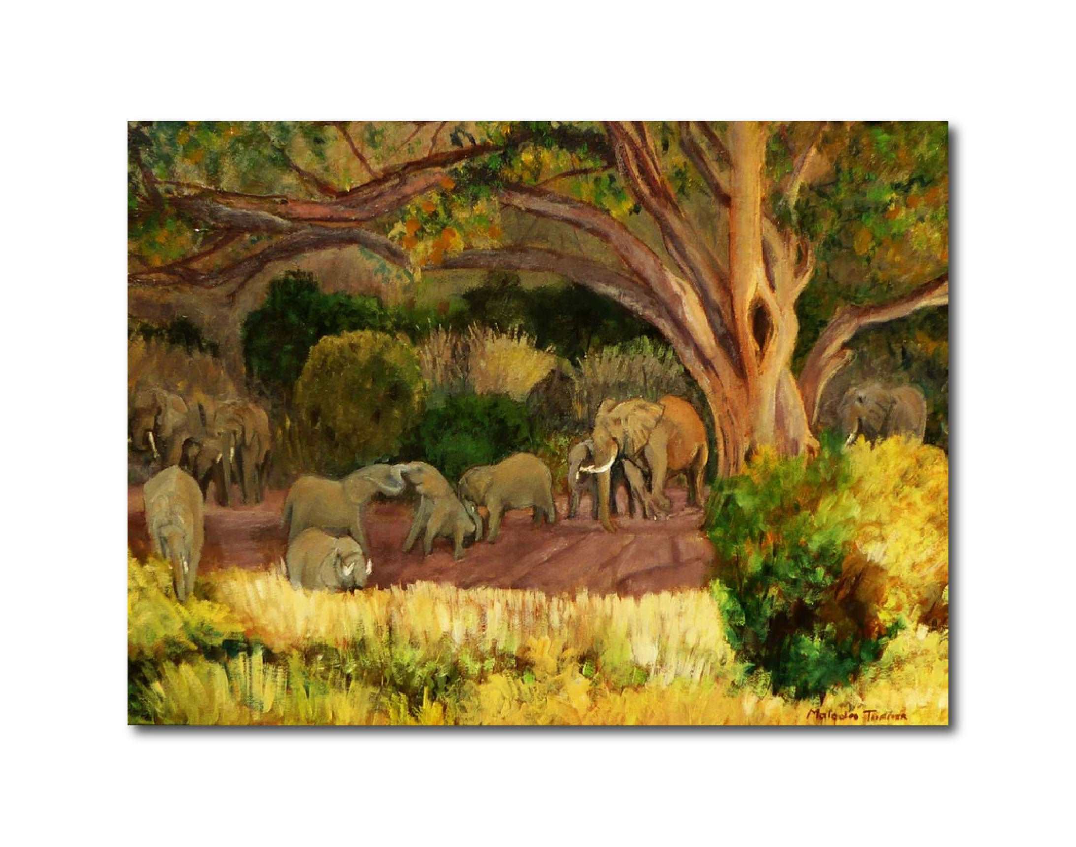 Landscape 'AFRICAN GIANTS' - Oil Painting on Stretched Canvas Malcolm Turner