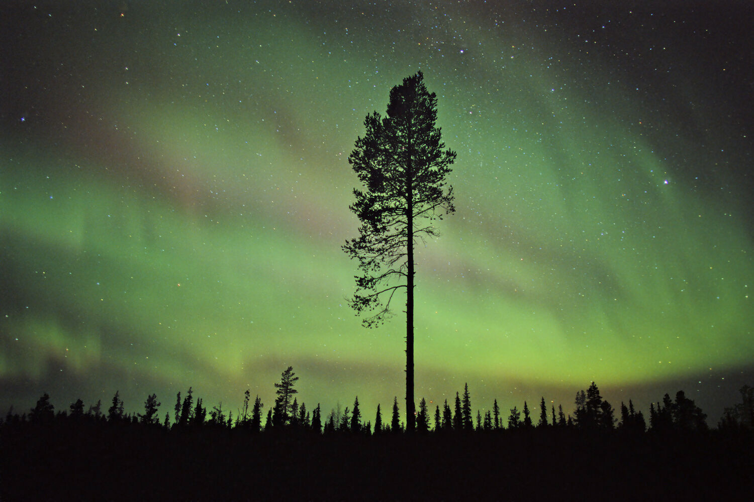 Landscape Photography Northern lights near Gallivare, Northern Sweden. Peter Essick