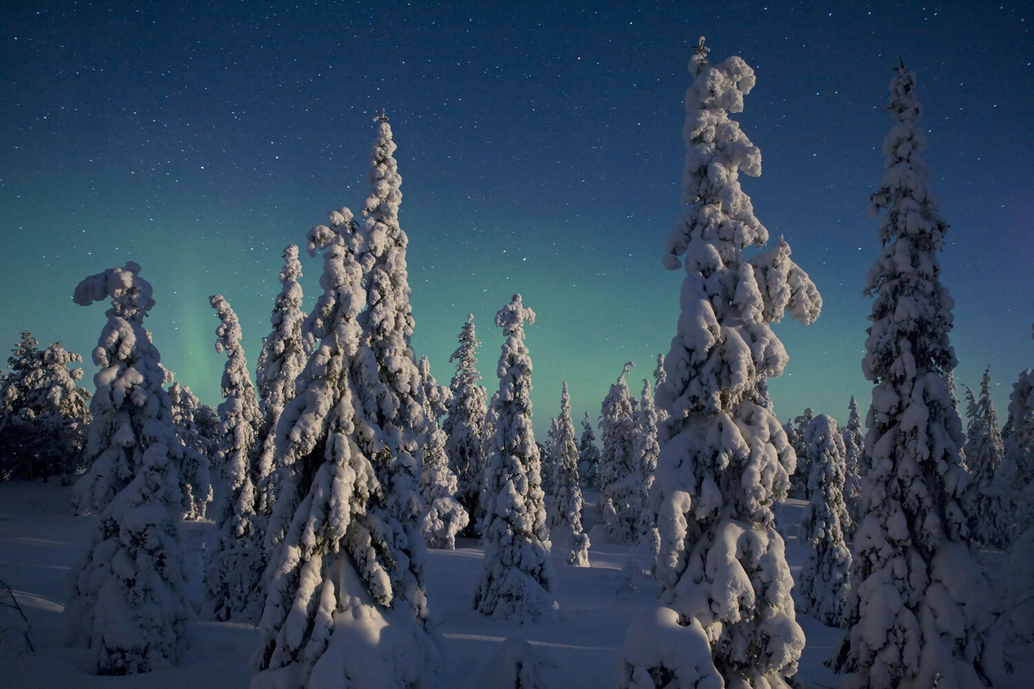 Landscape Photography Moonlight, Oulanka National Park, Finland. Peter Essick