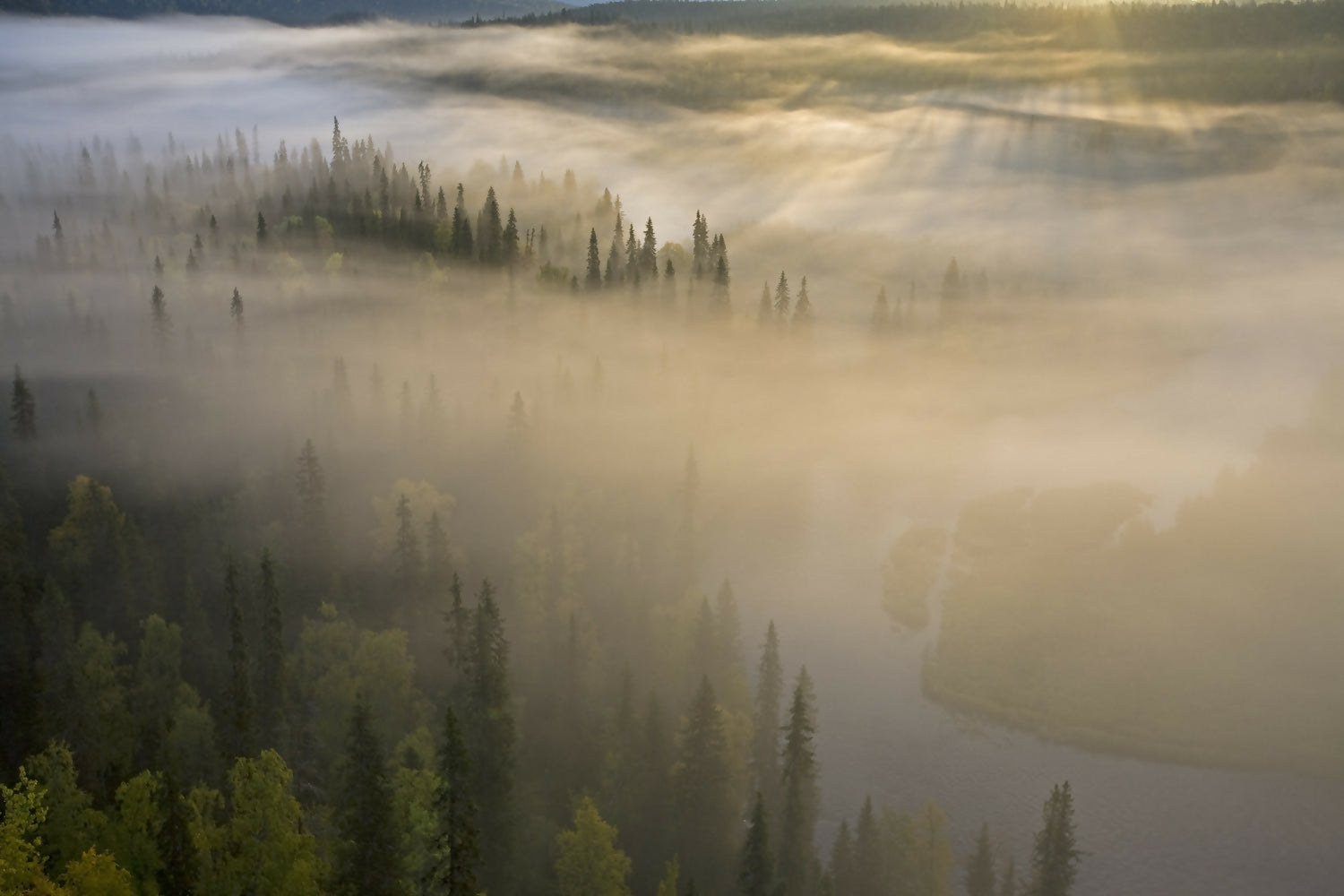 Landscape Photography Kitkajoki River, Patajikkopuro Overlook, Oulanka National Park, Finland. Peter Essick