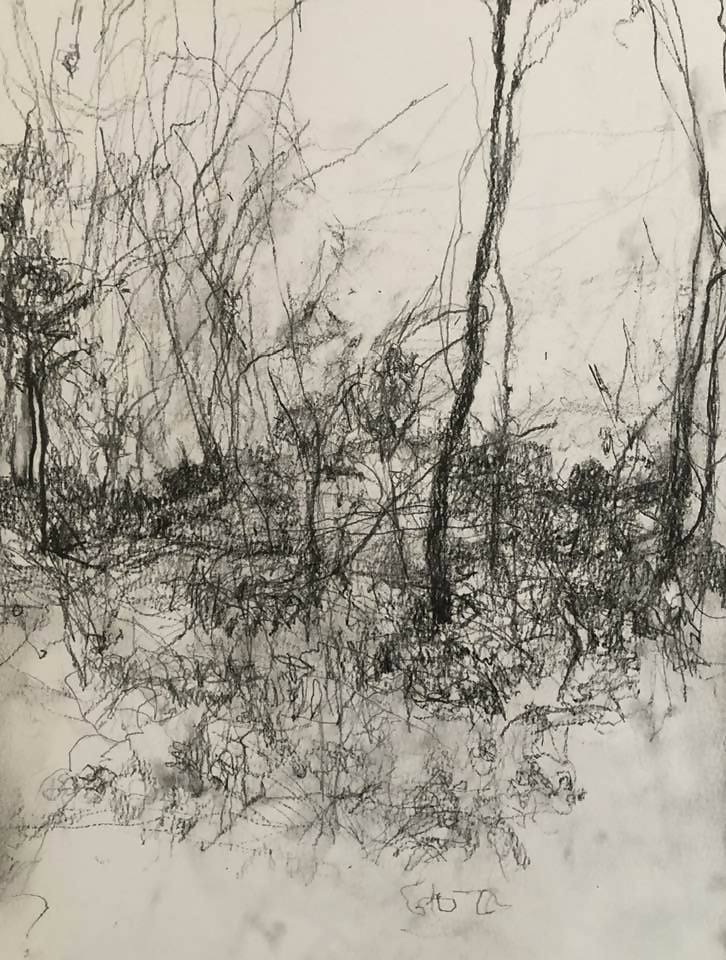 Drawing Landscape landscape 11.15 Carol Heft