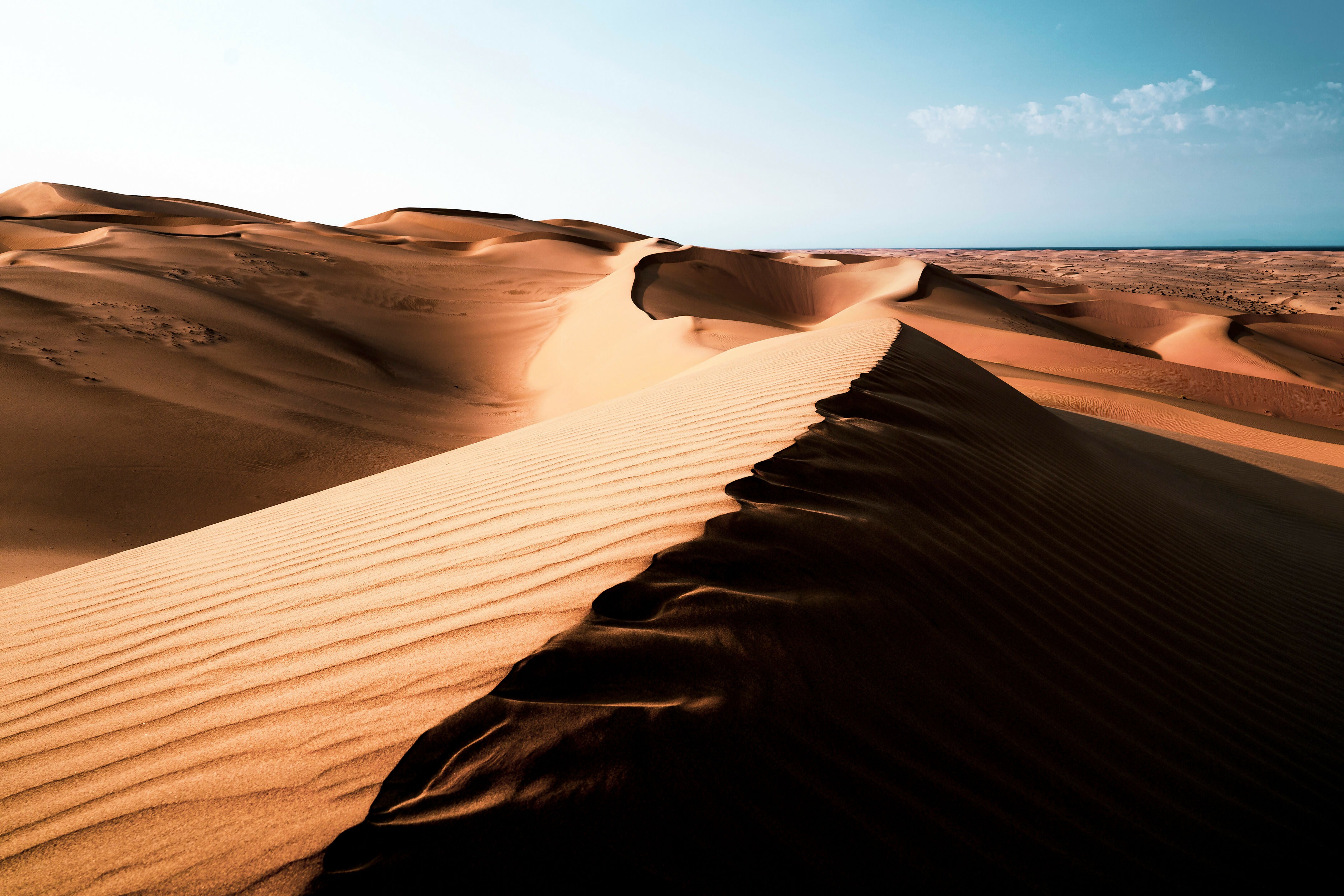 Photography Prints 'Algodones' Reed Decker