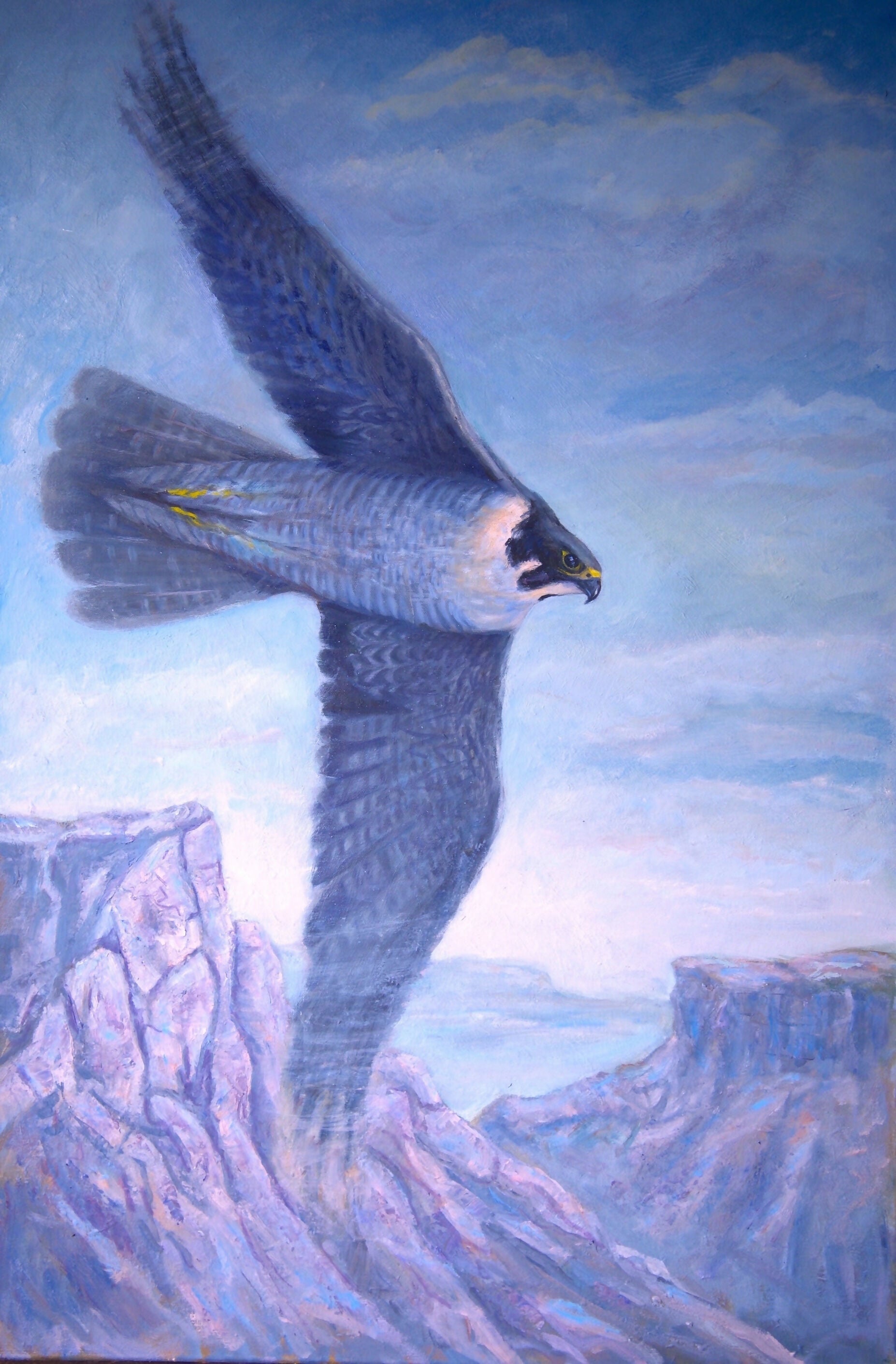 Oil Anatum Peregrine Norman Nelson