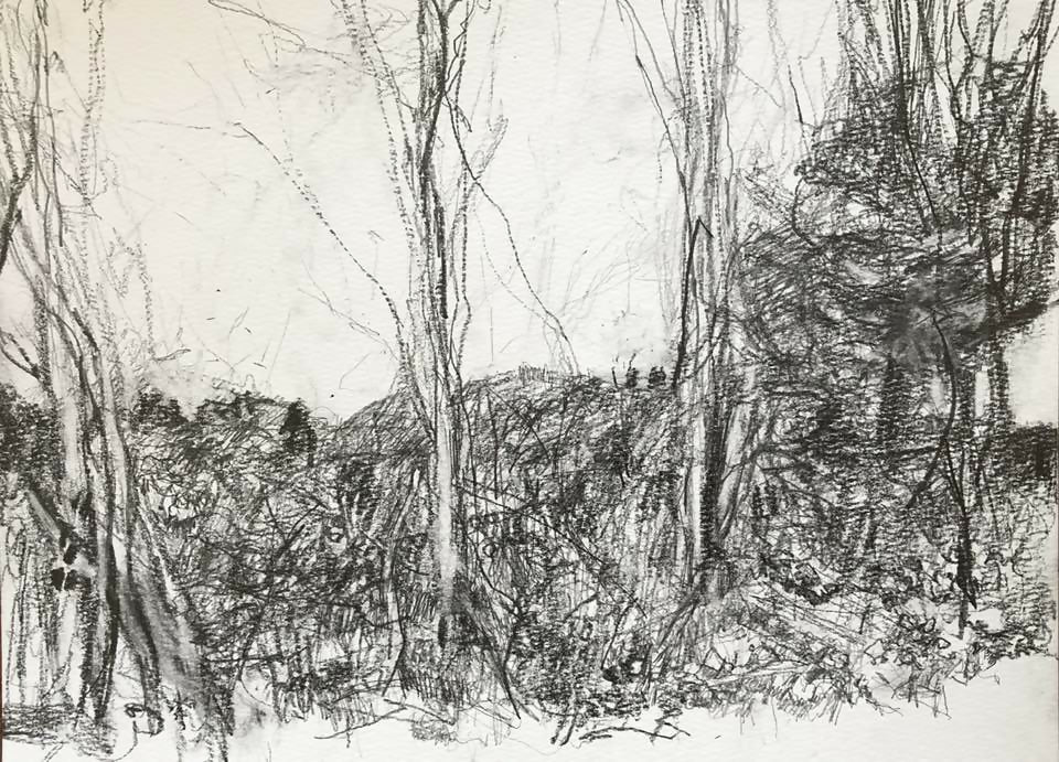 Drawing Landscape Landscape 11.25 Carol Heft