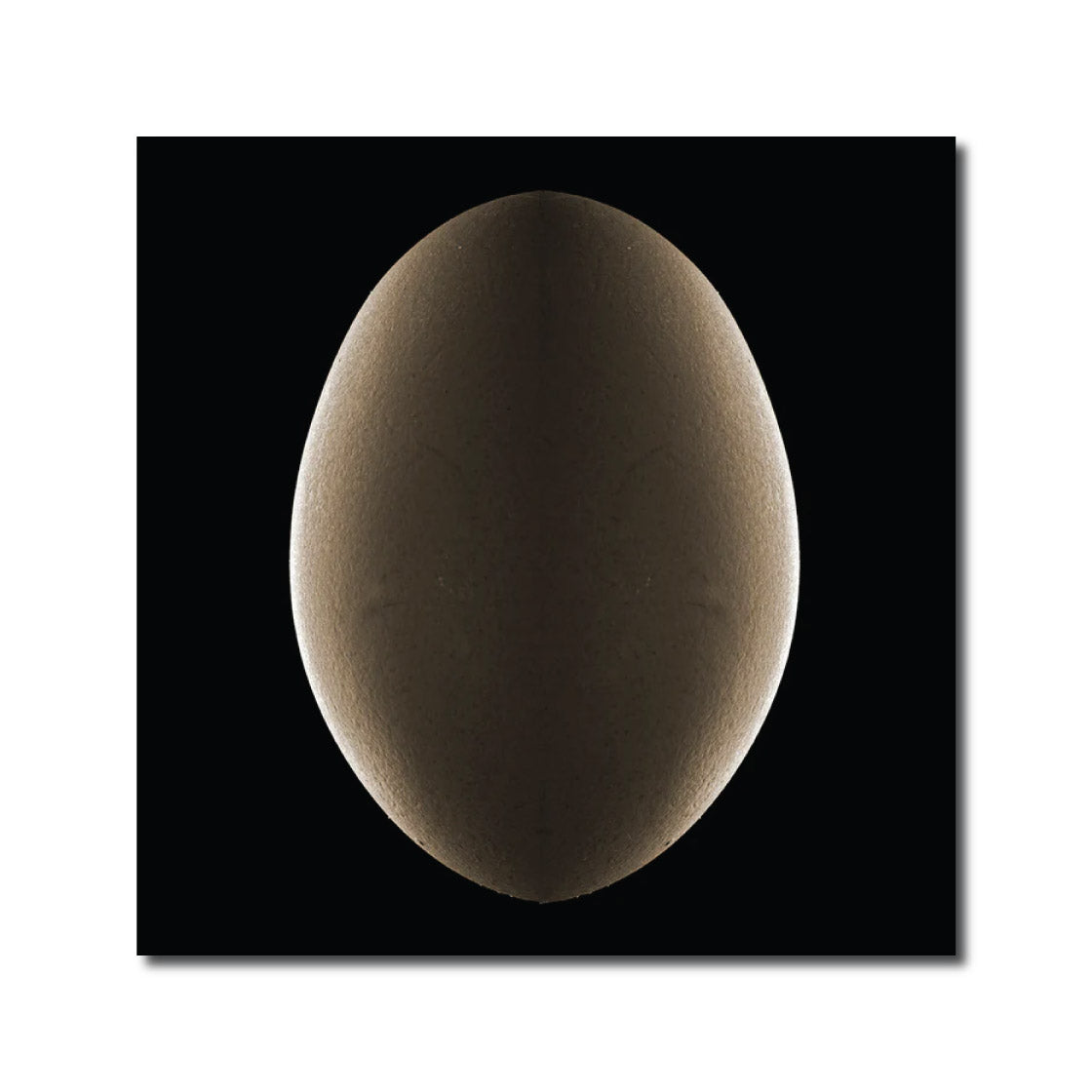 Food photography 'EGG #1' - Digital Photo Allan Baillie