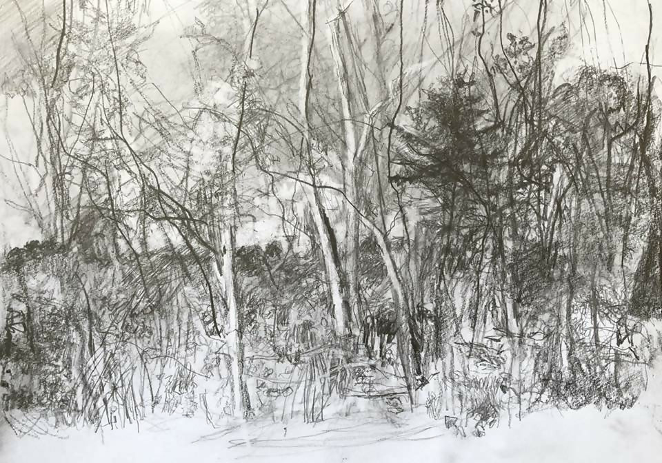 Drawing Landscape 11.11 Carol Heft