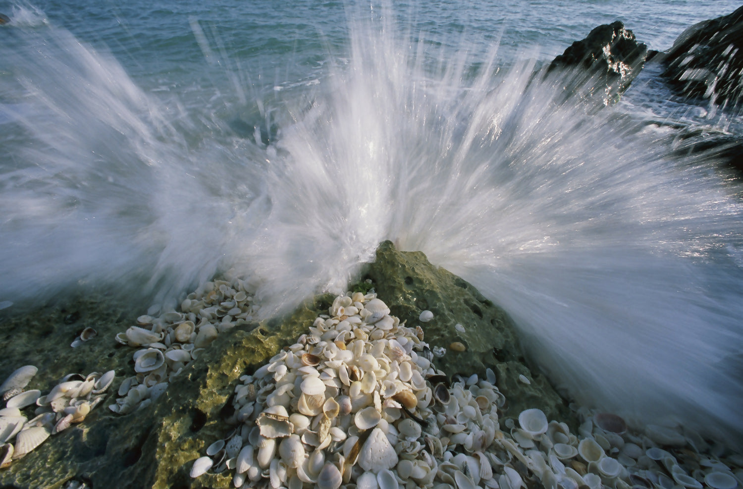 Landscape Photography Sanibel Island, Florida. Peter Essick