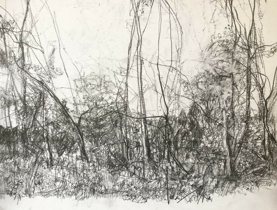 Drawing Landscape landscape 11.18 Carol Heft