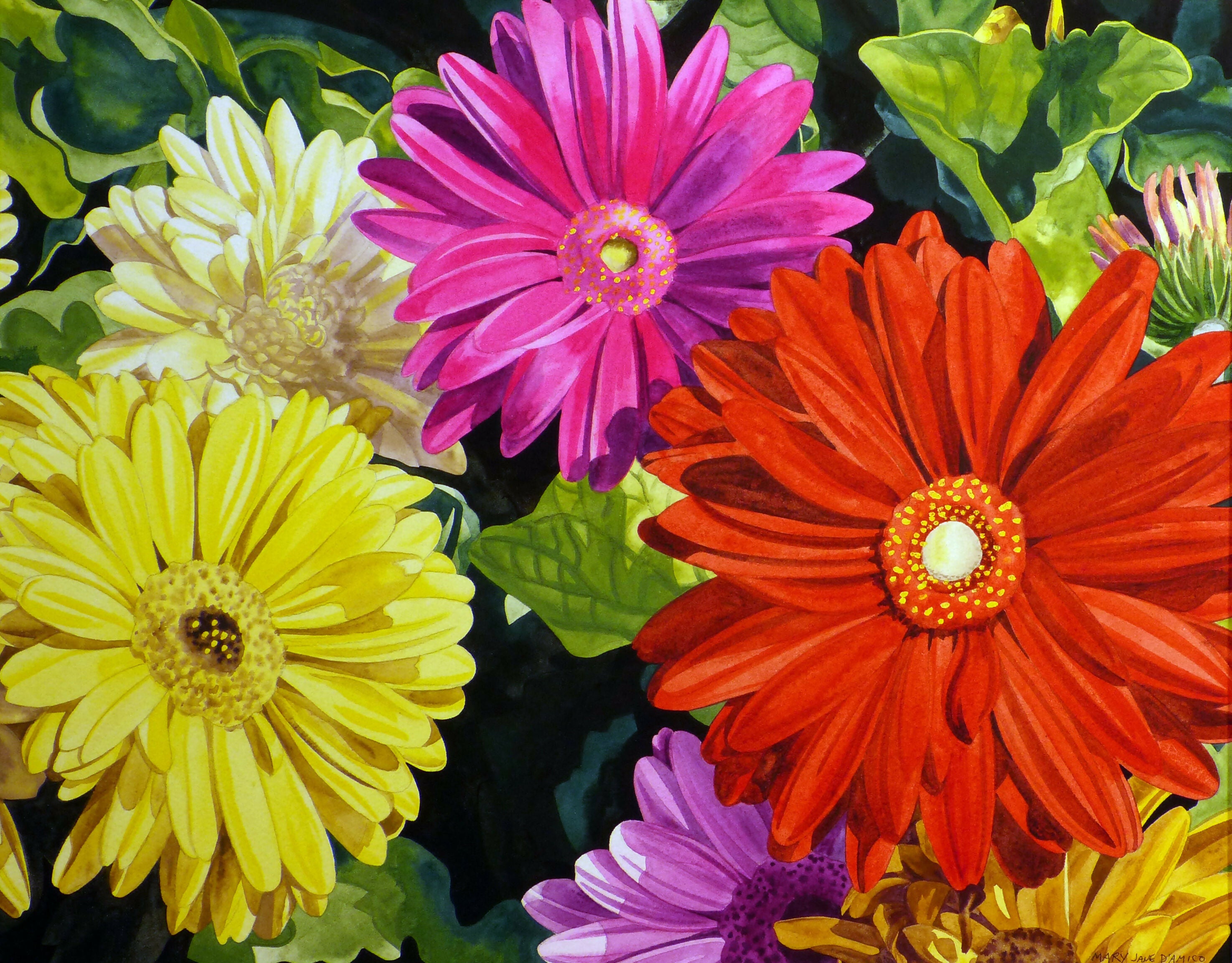 Watercolor Gerber Daisy Nature by MJ