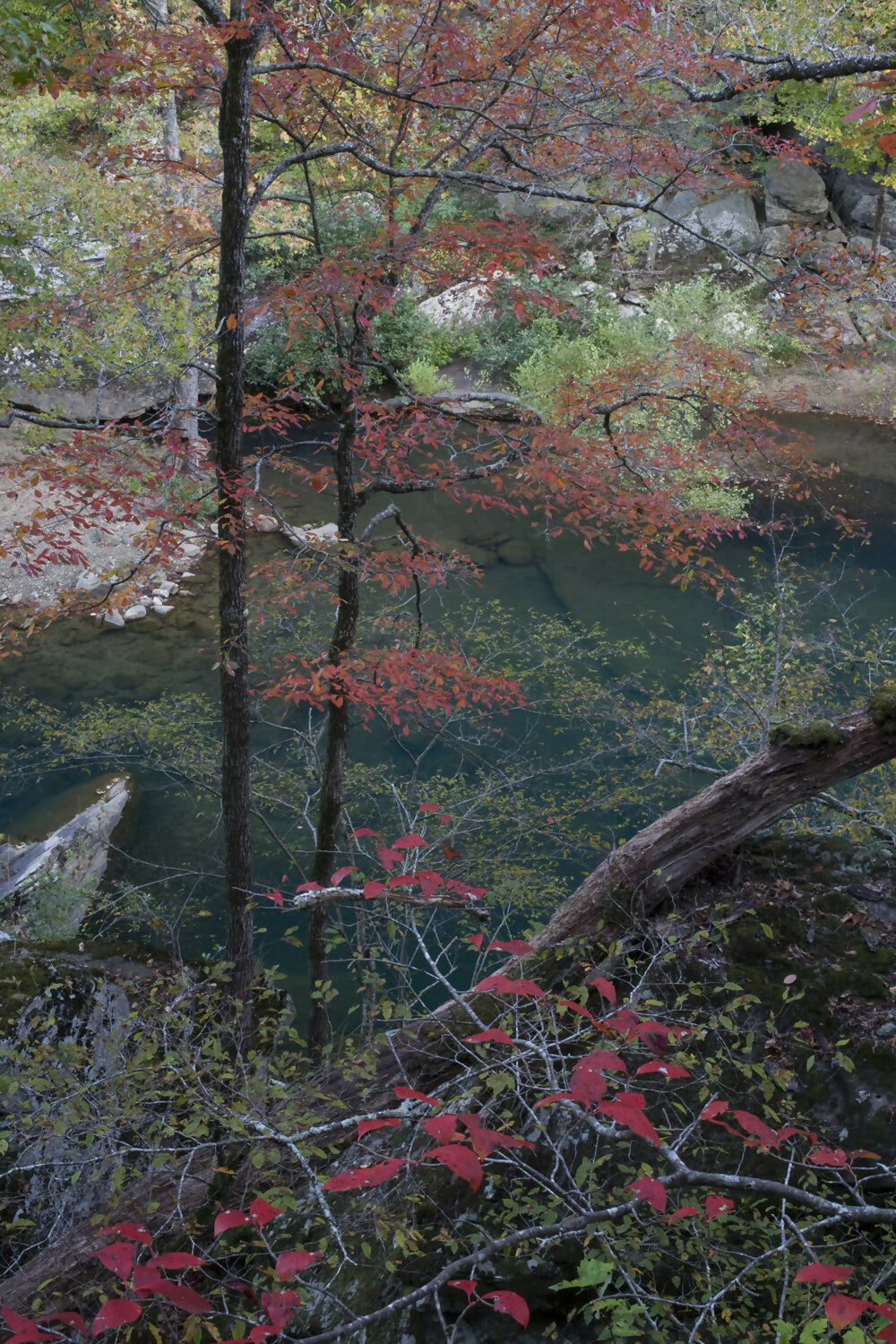 Landscape Photography Hurricane Creek Wilderness, Ozark Highlands Trail, Ozark National Forest, Arkansas Peter Essick