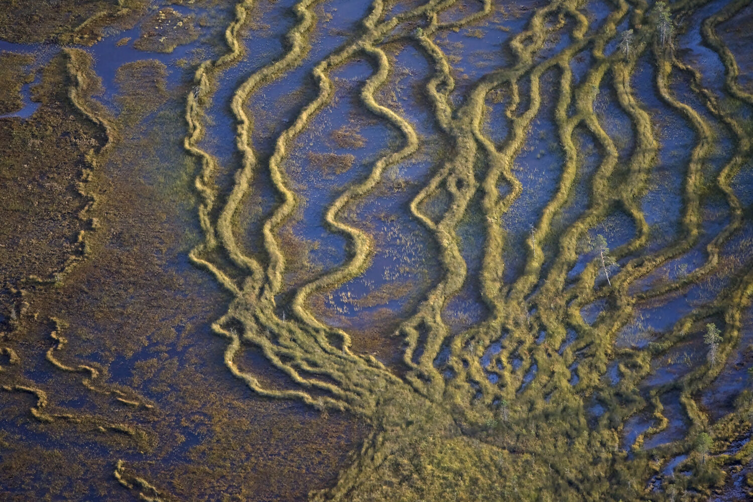 Landscape Photography Fen, Oulanka National Park, Finland Peter Essick